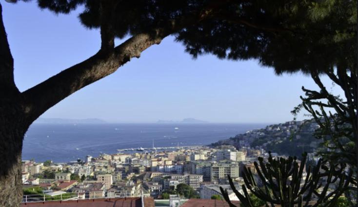 Belvedere 75 Napoli Dış mekan fotoğraf